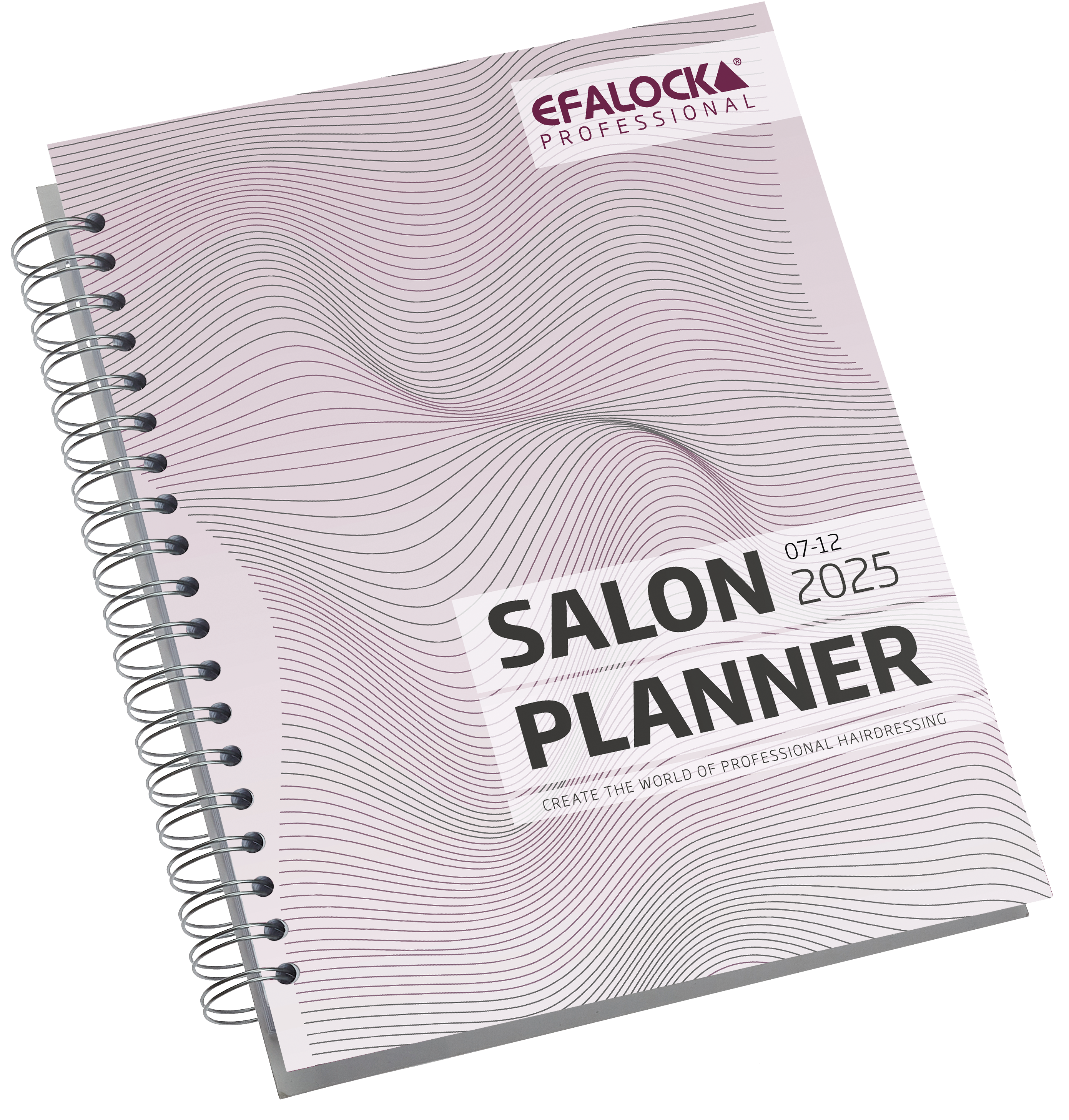 SALON PLANNER Vormerkbuch 2027 2-bdg.