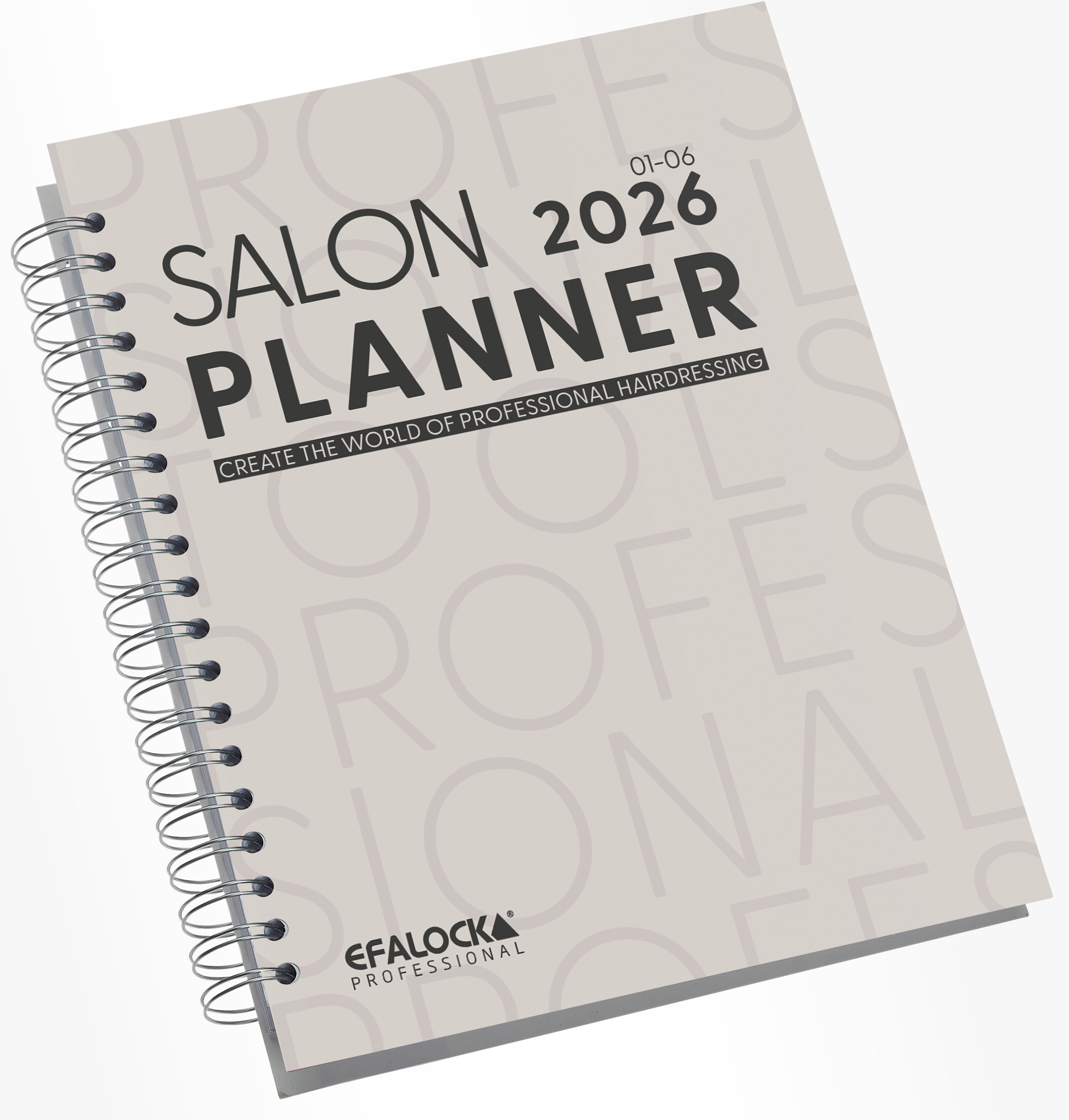 SALON PLANNER Vormerkbuch 2026 2-bdg.