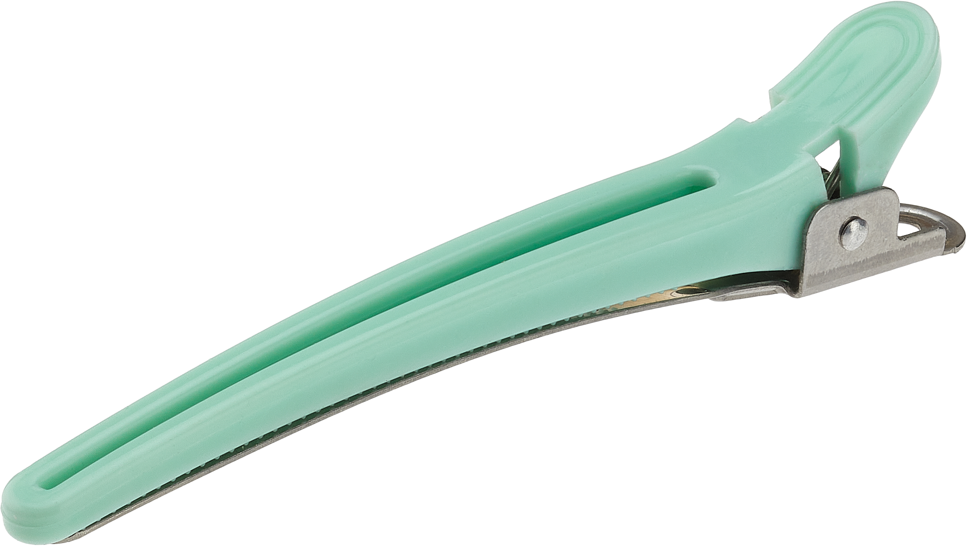 MACARONS COMBI-CLIPS Abteilklammern Pistazie 12Stk.