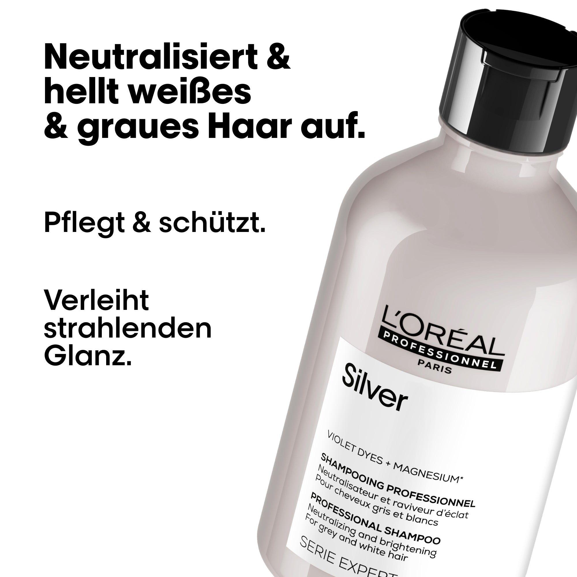 L'Oreal SE SILVER SHP 300ML