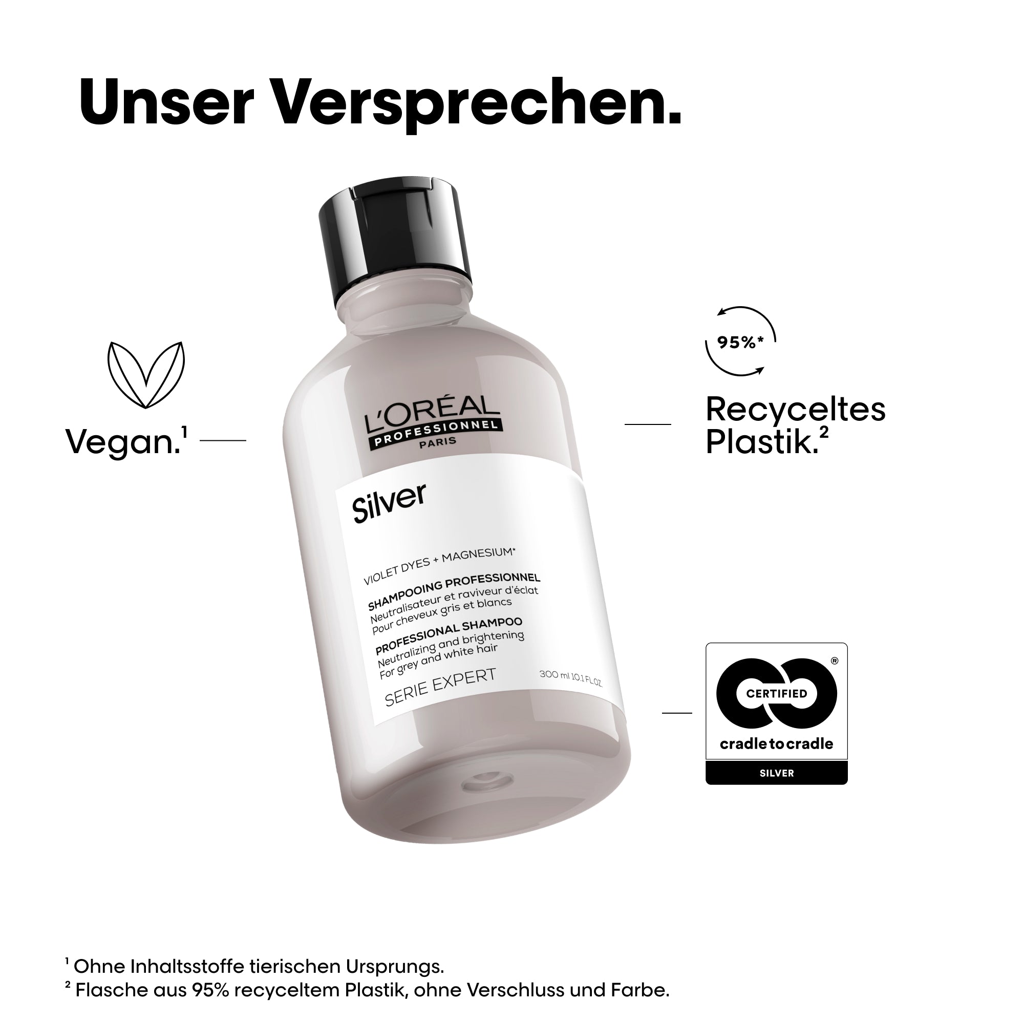 L'Oreal SE SILVER SHP 300ML