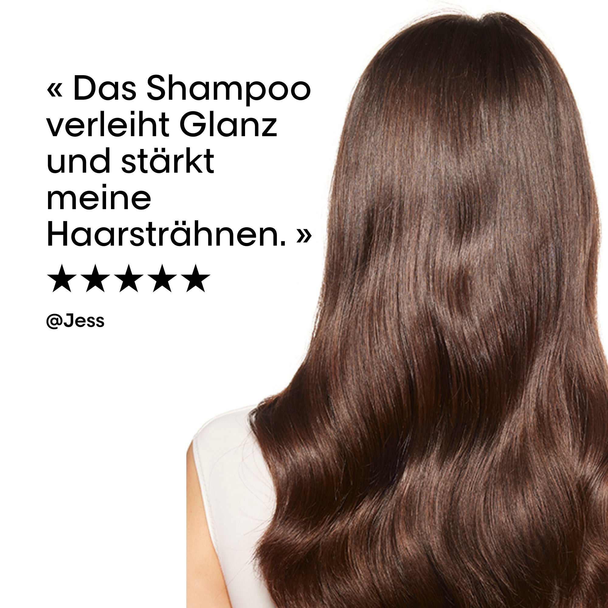 L'Oreal SE PRO LONGER SHP 300ML