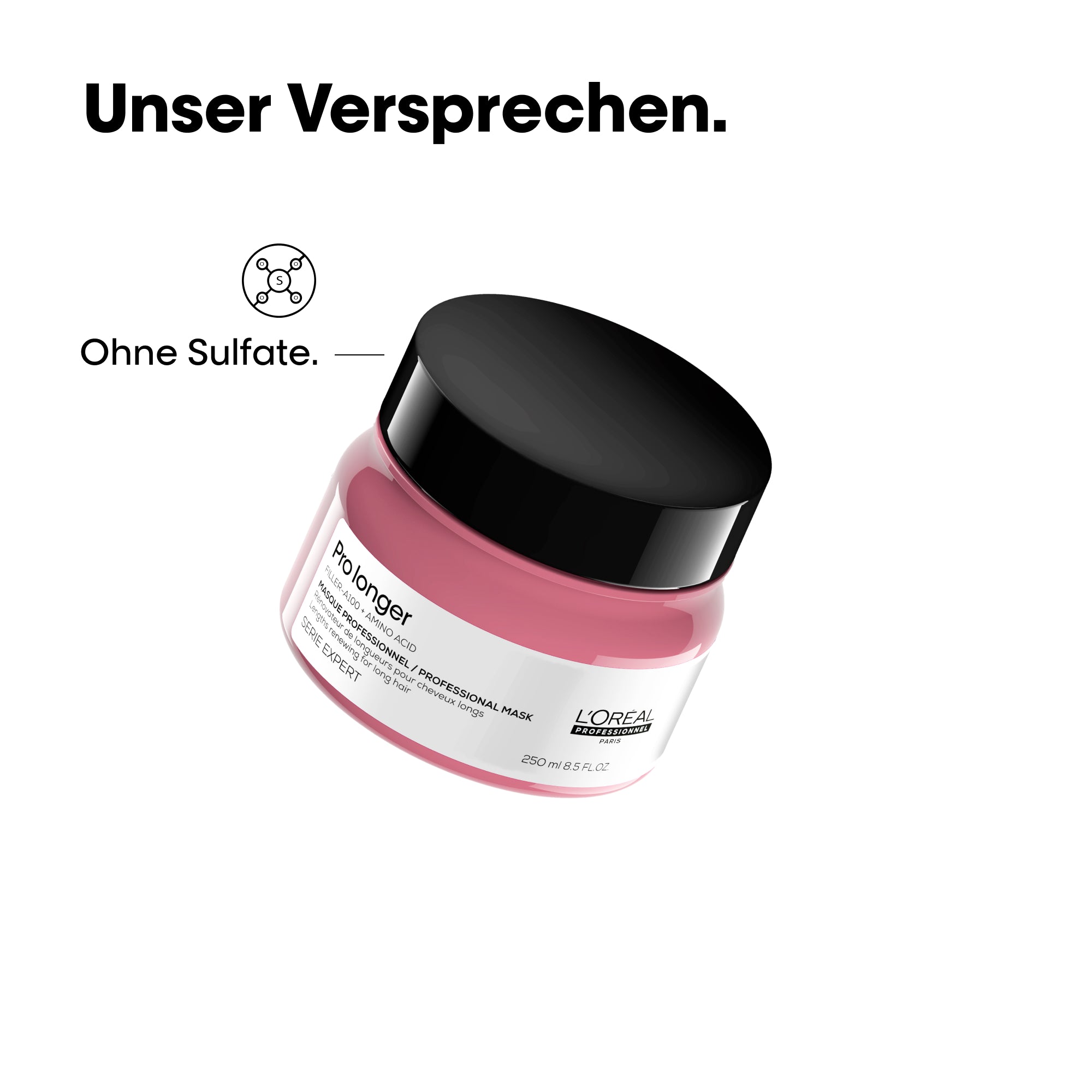 L'Oreal SE Pro Lng Msq 250ml VI