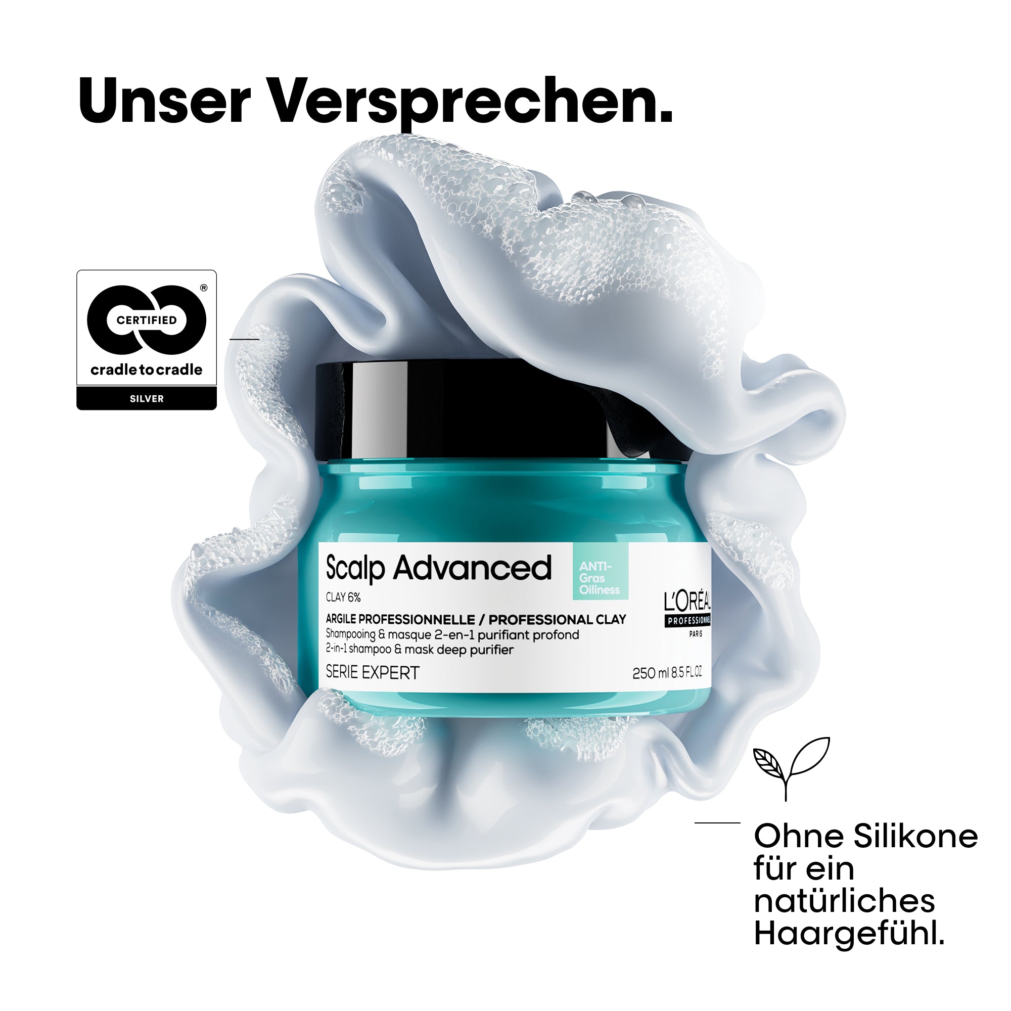 L'Oreal SE Sca A-Oily Msq 250ml I