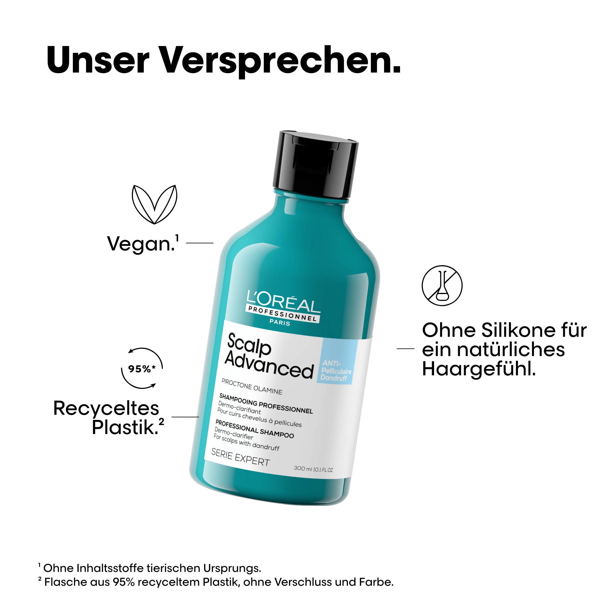 L'Oreal SE Sca A-Dndrf Shp 300 VB98