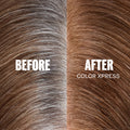 Color Xpress 9/06 lichtblond natur-violett 60 ml