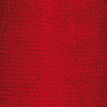 Finetex Pro rot 38x95cm En.sparhandtuch