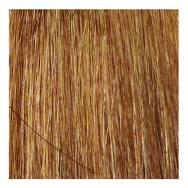 Eslabondexx Color 8.31 hellblond gold asch beige 100ml Mischverhältnis 1:1,5
