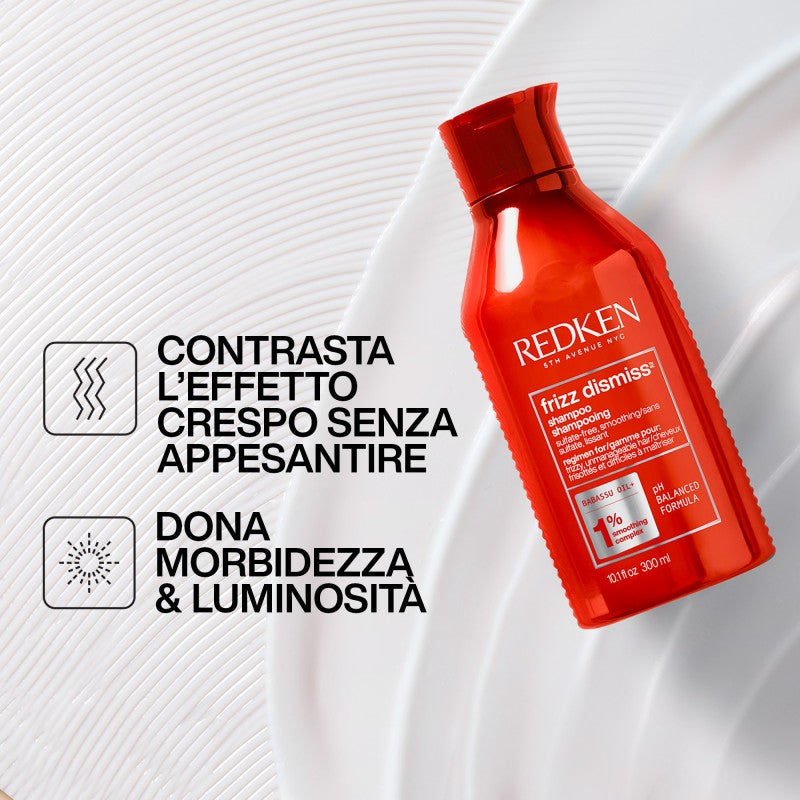 L'Oreal RDK HOLIDAYS EU FRIZZ DISMISS KIT