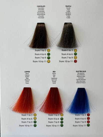 Nouvelle Farbkarte REV UP Color Chart Relaunch 2024